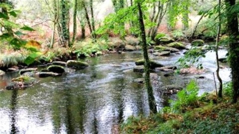 Rivière Isole avant Cascadec
